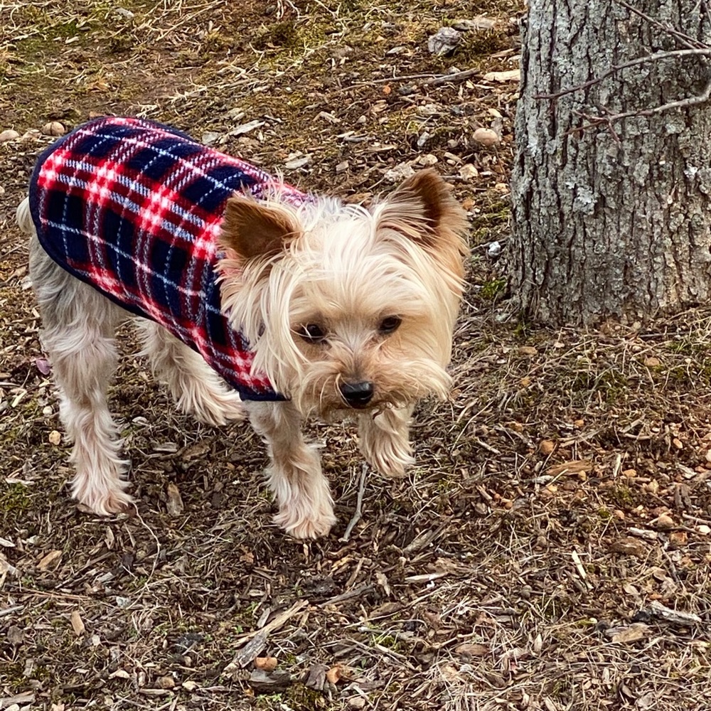 Meet your Posher, Josipa